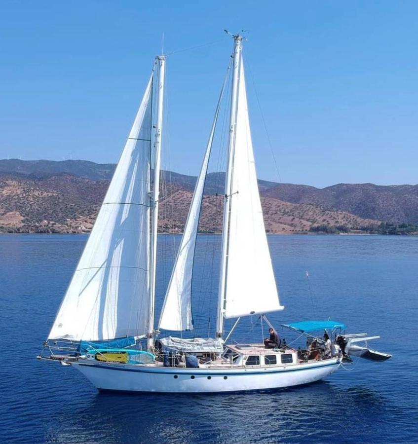 Fantastico Velero En Barcelona Hotell Sant Adrià de Besòs Exteriör bild